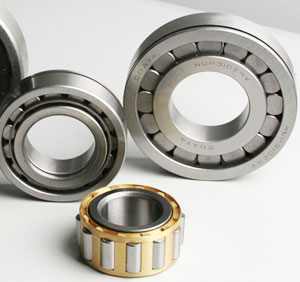skf�A���L���S��SKFNU1900E��̖(h��o)��ԃ